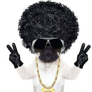 Meet your Posher, Adrian